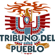 (c) Tribunodelpueblo.org