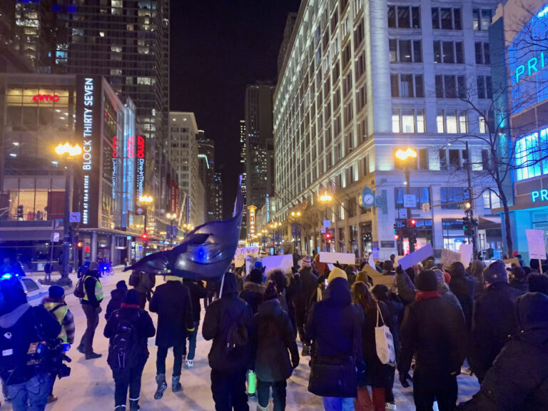 Chicago Protest Against Police Murders: How Many More?