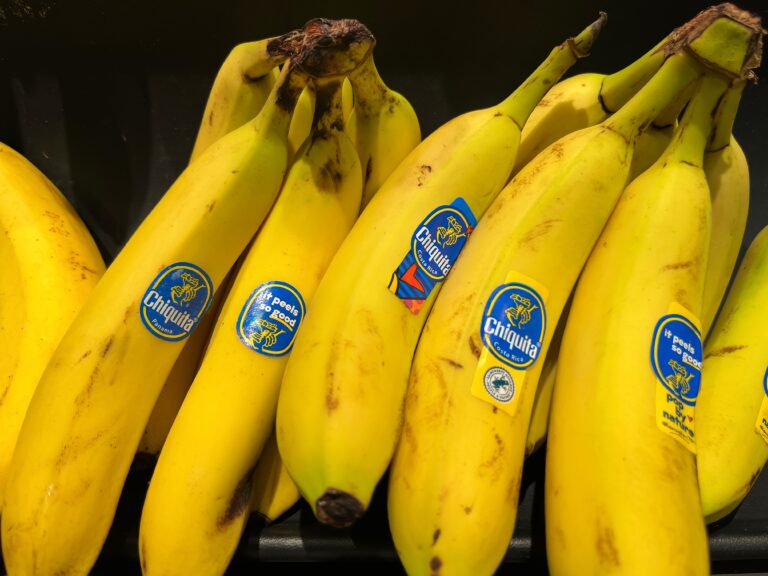 La luz del día llega al uso de Chiquita de los escuadrones de la muerte colombianos