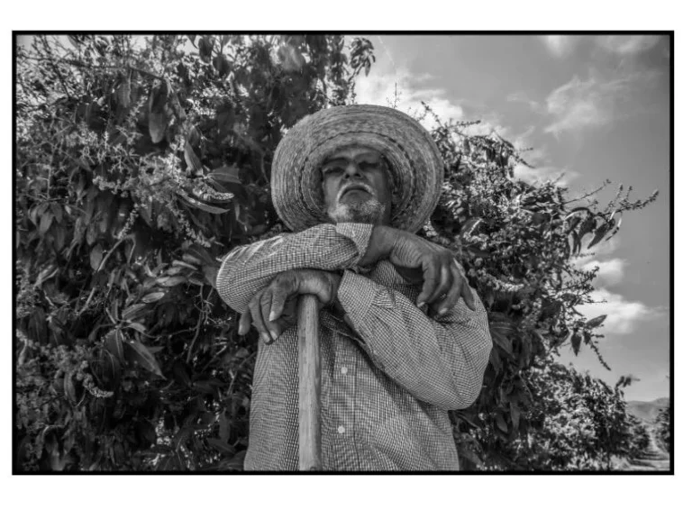 Para los trabajadores agrícolas de Coachella, las huelgas de la uva del siglo XX proyectan una larga sombra.